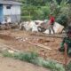 Satgas TMMD ke-127 Kodim 0624/Kabupaten Bandung laksanakan Program Rutilahu Rumah Saefuloh di Desa Cipelah
