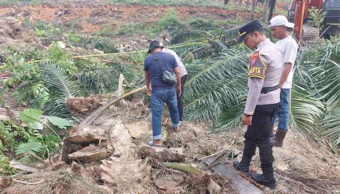 Polsek Pulau Punjung olah TKP meninggalnya seorang Ibu Rumah Tangga yang meninggal dunia tertimpa batang kelapa sawit