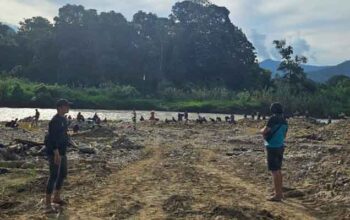 Polres 50 Kota Selidiki Dugaan Tambang Emas Ilegal di Nagari Galugua, Kecamatan Kapur IX