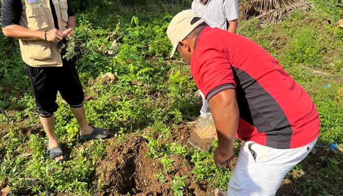 Tim Program Mahasiswa Berdampak BEM KM Unand Hijaukan Nagari Salareh Aia dengan penanaman bibit jengkol, petai dan bibit pinang