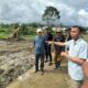 Wawako Allex Saputra saat meninjau lahan pertanian di kawasan sekitar Islamic Centre Padang Panjang