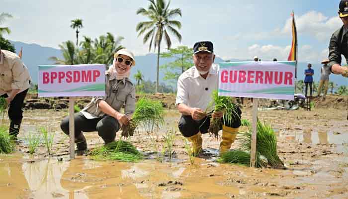 Kepala Badan Penyuluhan dan Pengembangan SDM Pertanian Kementerian Pertanian, Idha Widi Arsanti bersama Gubernur Sumbar, Mahyeldi Ansharullah saat gerakan tanam serempak 50.000 hektare di Sumbar yang dipusatkan di Nagari Koto Kaciak, Kecamatan Tanjung Raya, Kabupaten Agam