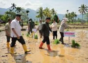 Kemendagri Apresiasi Progres Rehabilitasi Lahan Terdampak Bencana di Sumbar