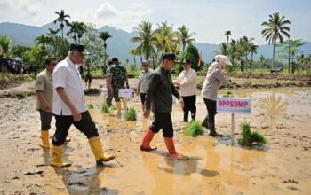 Realisasi rehabilitasi lahan pertanian terdampak bencana di Sumatera Barat
