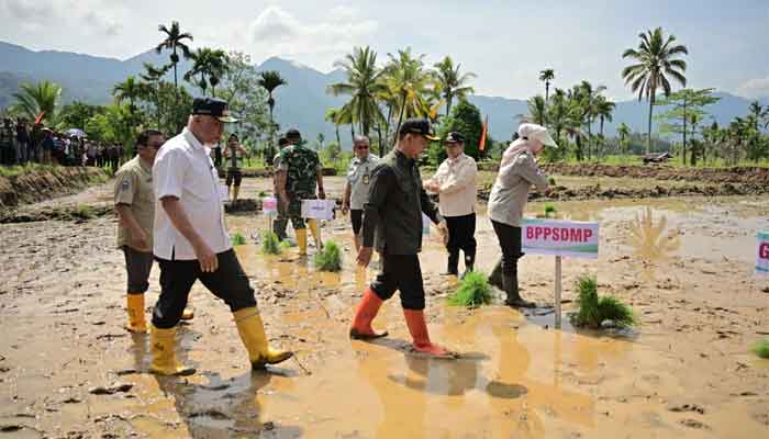 Realisasi rehabilitasi lahan pertanian terdampak bencana di Sumatera Barat