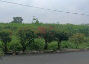 Warga Desa Jegu Ancam Demo, Lahan Jasatirta Diduga Disewakan Diam-Diam untuk Tanam Jagung