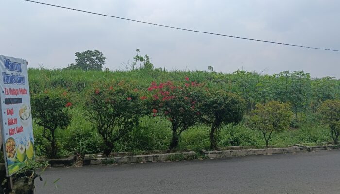 Warga Desa Jegu Ancam Demo, Lahan Jasatirta Diduga Disewakan Diam-Diam untuk Tanam Jagung