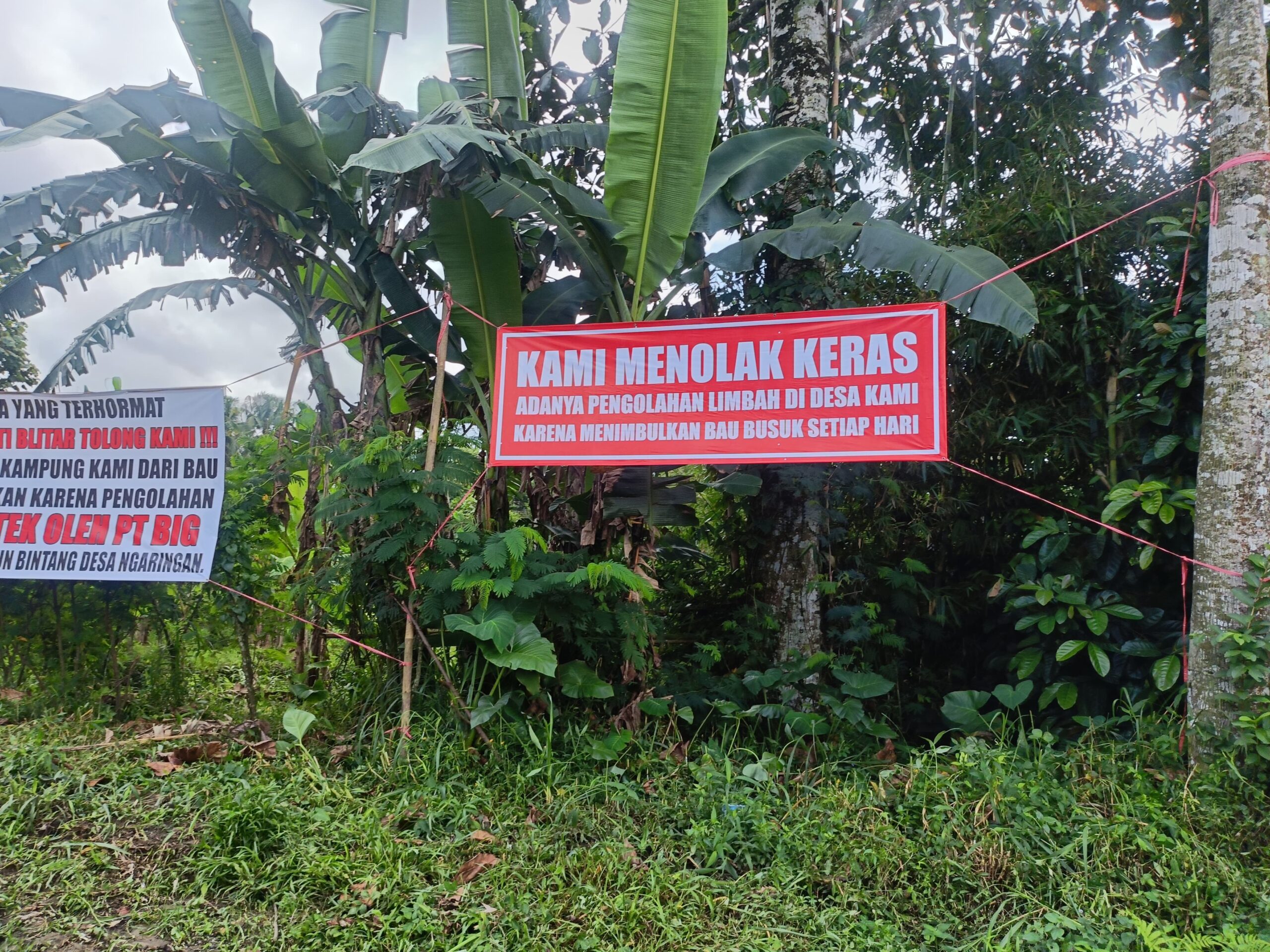 IMG 20260421 WA0017 scaled