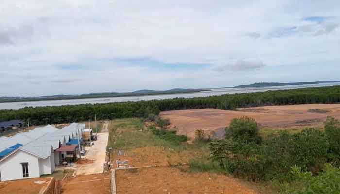 Puluhan Hektare Hutan Mangrove di Tanjung Piayu Laut Ditimbun, Apakah BP Batam Tidak Tahu?