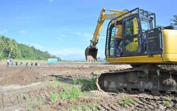 Begini Langkah Pemprov Sumbar Percepat Rehabilitasi Lahan Sawah Terdampak Bencana