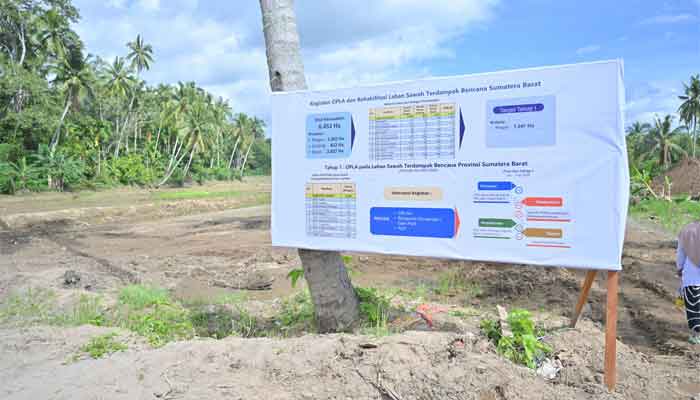 Rehabilitasi Sawah Terdampak Bencana2