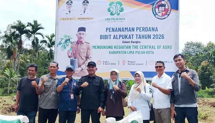 Bupati Limapuluh Kota, Safni bersama berbagai elemen masyarakat saat penanaman perdana 400 batang bibit alpukat jenis Miki di areal lahan seluas lebih kurang 2 Ha di Jorong Simpang Tigo, Nagari Sariak Laweh, Kecamatan Akabiluru