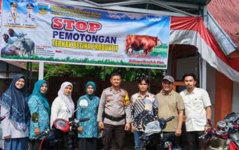 DPKPP Solok Selatan melalui Bidang Peternakan dan Kesehatan Hewan melakukan sosialisasi sekaligus memasang spanduk imbauan “Stop Pemotongan Ternak Betina Produktif” di berbagai titik strategis
