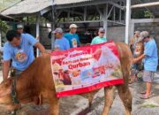 Kokola Group bersama Mamah Dedeh Salurkan Kurban Sapi Limosin di Ciamis
