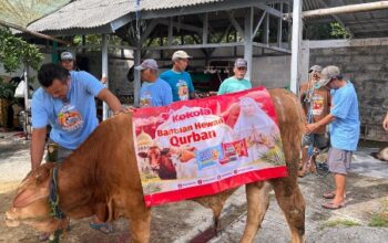 Kokola Group bersama Mamah Dedeh Salurkan Kurban Sapi Limosin di Ciamis 3 Acara mamah Dedeh