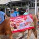 Kokola Group bersama Mamah Dedeh Salurkan Kurban Sapi Limosin di Ciamis