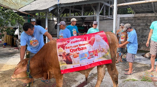 Kokola Group bersama Mamah Dedeh Salurkan Kurban Sapi Limosin di Ciamis 1 Acara mamah Dedeh