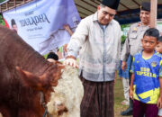 Usai Salat Idul Adha, Bupati Bintan Serahkan Sapi Kurban Presiden kepada Pengurus Masjid Jami’ Al Hidayah Toapaya Selatan 9 Bupati Bintan Serahkan Sapi Kurban Presiden kepada Pengurus Masjid Jami’ Al Hidayah Toapaya Selatan