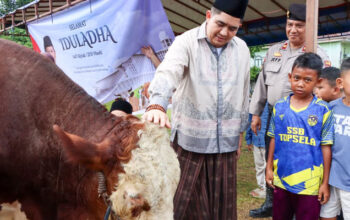Bupati Bintan Serahkan Sapi Kurban Presiden kepada Pengurus Masjid Jami’ Al Hidayah Toapaya Selatan