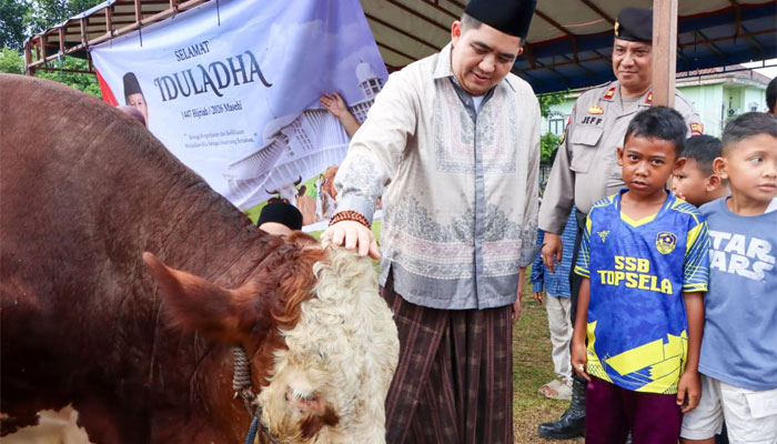 Usai Salat Idul Adha, Bupati Bintan Serahkan Sapi Kurban Presiden kepada Pengurus Masjid Jami’ Al Hidayah Toapaya Selatan 1 Bupati Bintan Serahkan Sapi Kurban Presiden kepada Pengurus Masjid Jami’ Al Hidayah Toapaya Selatan