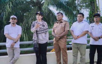 Bupati Dharmasraya, Annisa Suci Ramadhani pantau penguatan Jembatan Batang Mimpi di Nagari SIkabau