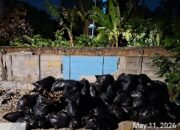 Tumpukan Sampah di Cengkareng Barat Dikeluhkan Warga, Pengurus Lingkungan Diminta Perkuat Koordinasi
