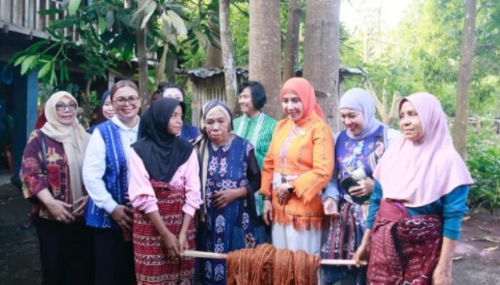Kemendagri dan Dekranas Gelar Pelatihan Pewarna Alami di Alor
