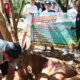 Jam’iyah Singapore bersama BKPRMI DKI Jakarta Salurkan Hewan Qurban untuk Warga Dhuafa
