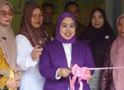 Ketua Pembina Posyandu Kabupaten Sijunjung Launching Posyandu 6 SPM di Nagari Lubuk Tarok