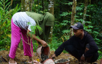 Kesederhanaan Misti di Balik Semangat Gotong Royong TMMD ke-128 di Desa Krangean