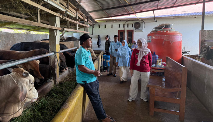 Satgas Pangan dan TPID Kabupaten Solok Monitoring Ketersediaan dan Harga Jual Sapi Kurban