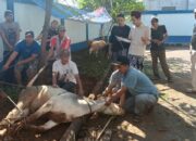PWI Kabupaten Bogor Sembelih Sepuluh Hewan Kurban, Wujud Nyata Kepedulian Sosial Insan Pers