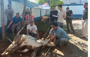PWI Kabupaten Bogor Sembelih Sepuluh Hewan Kurban, Wujud Nyata Kepedulian Sosial Insan Pers 3 PWI Bogor