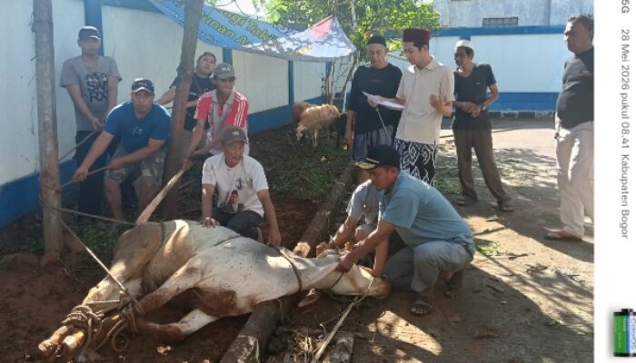 PWI Kabupaten Bogor Sembelih Sepuluh Hewan Kurban, Wujud Nyata Kepedulian Sosial Insan Pers