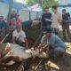 PWI Kabupaten Bogor Sembelih Sepuluh Hewan Kurban, Wujud Nyata Kepedulian Sosial Insan Pers