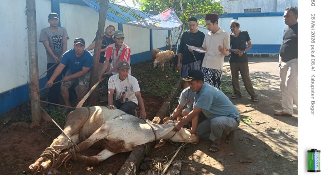 PWI Kabupaten Bogor Sembelih Sepuluh Hewan Kurban, Wujud Nyata Kepedulian Sosial Insan Pers 1 PWI Bogor