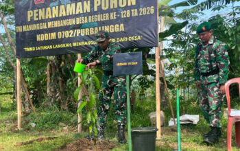 Penanaman Bibit Pohon Jadi Simbol Kepedulian Lingkungan di Penutupan TMMD ke-128 di Desa Krangean 7 Penanaman Bibit Pohon di Penutupan TMMD ke-128 di Desa Krangean