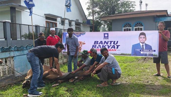 Ketua DPD PAN Limapuluh Kota saksikan penyembelihan hewan kurban dari H. Arisal Aziz