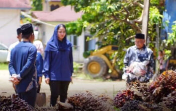 Bupati Dharmasraya Ultimatum PKS: Jangan Rugikan Petani Sawit! 4 Bupati Dharmasraya, Annisa Suci Ramadhani ultimatum Pabrik Kelapa Sawit (PKS)