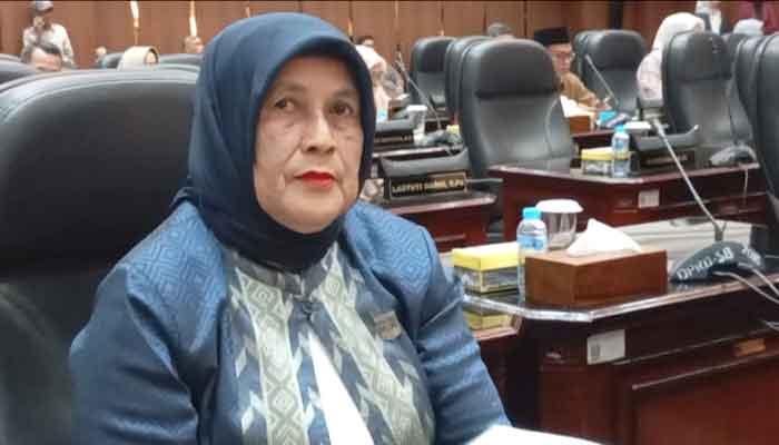 Anggota Komisi V DPRD Sumbar, Hj. Endarmy sorot belum diperbaikinya Jembatan Anduriang di Kayu Tanam, Kabupaten Padang Pariaman