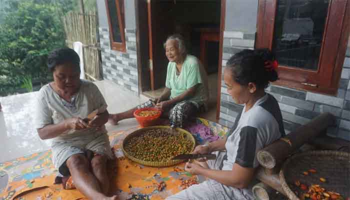 Kehadiran TMMD ke-128 Pacu Produktivitas Ibu-Ibu Desa Krangean
