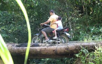 Jembatan kayu di Desa Krangean siap dibangun kembali dalam TMMD ke-128