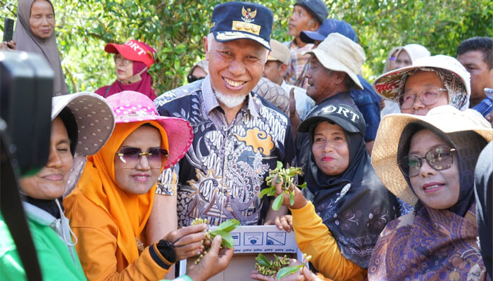 Gubernur Mahyeldi saat menghadiri panen raya cengkeh di kawasan perkebunan seluas sekitar 400 hektare di Bukit Batu Agung, Jorong Subarang, Nagari Paninggahan, Kecamatan Junjung Sirih, Kabupaten Solok