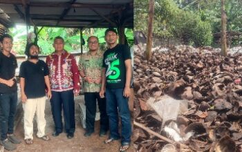 Limbah Sabut Kelapa Disulap Jadi Cocopeat Bernilai Ekonomis di Pulo Gebang 3 GridArt 20260623 190655252