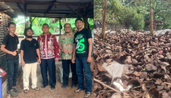 Limbah Sabut Kelapa Disulap Jadi Cocopeat Bernilai Ekonomis di Pulo Gebang
