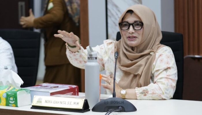 Bantuan Belum Cair, Nora Idah Nita Soroti Nasib Korban Bencana Hidrometeorologi di Aceh
