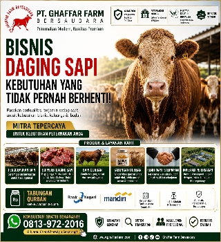 daging sapi