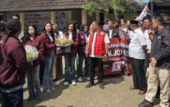 Bara JP Tancap Gas di Lampung, Boy Nababan Pastikan Seluruh Gerakan Ikuti Arahan Jokowi