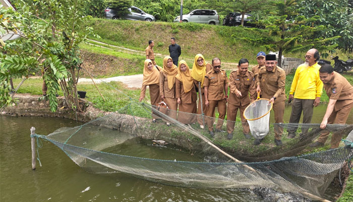 Panen Ikan di Harau, Bupati Limapuluh Kota Dorong Pengembangan Perikanan dan Wisata Lokal 1 Bupati Limapuluh Kota, Safni panen ikan di Harau