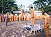 Wabup Yulian Efi: Masuknya TKD Jadi Momentum Percepatan Realisasi Program Daerah Solok Selatan 9 Apel gabungan Pemerintah Kabupaten Solok Selatan